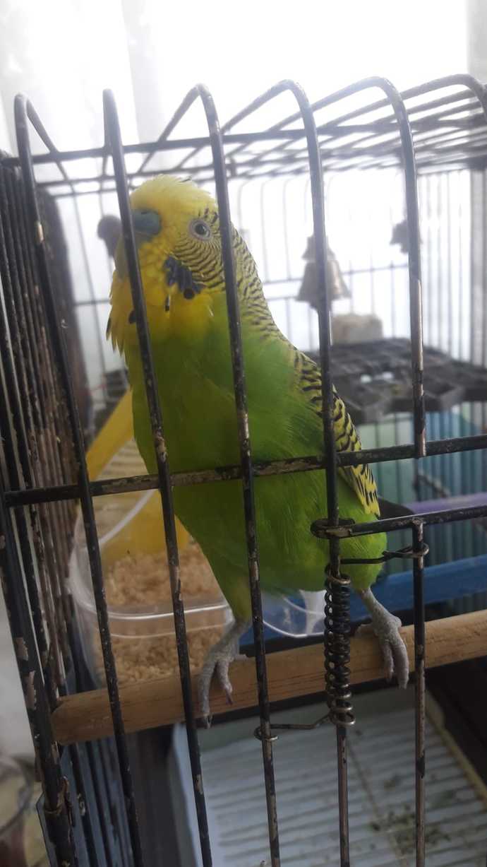 "Muhabbet" yerine "sohbet" kelimesini kullansanız nasıl olur?