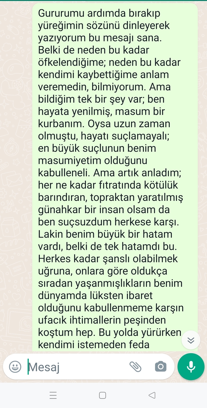 Lütfen okuyunuz. Hoşlandığım çocuğa yazdığım mesaj nasıl?