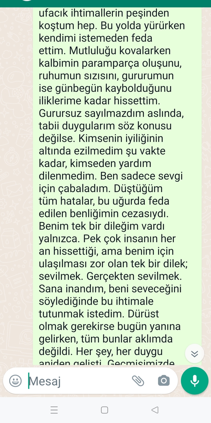 Lütfen okuyunuz. Hoşlandığım çocuğa yazdığım mesaj nasıl?