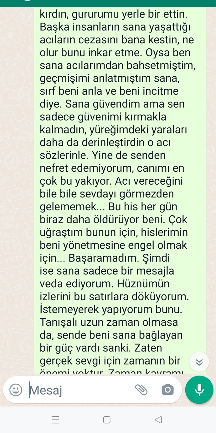 Lütfen okuyunuz. Hoşlandığım çocuğa yazdığım mesaj nasıl?