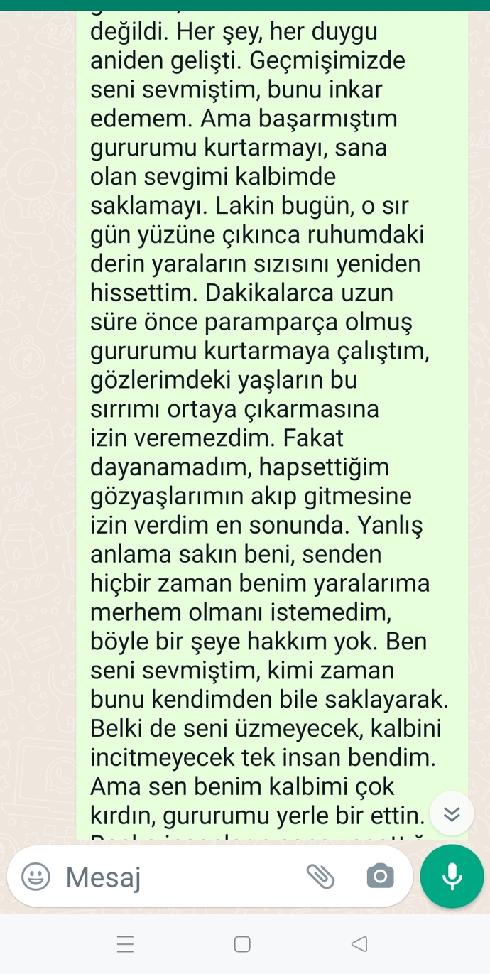 Lütfen okuyunuz. Hoşlandığım çocuğa yazdığım mesaj nasıl?