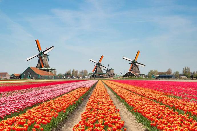 Almanyada mı yaşamak isterdiniz yoksa Hollanda da mı?
