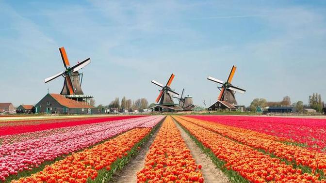 Almanya'da mı yaşamak isterdiniz yoksa Hollanda da mı?