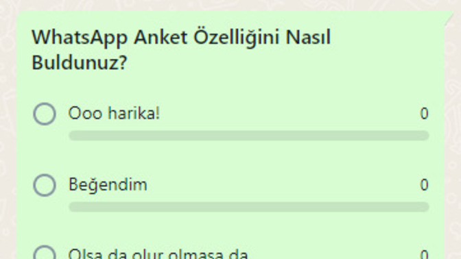 WhatsApp'a yeni gelen anket oluşturma özelliğini nasıl buldunuz?
