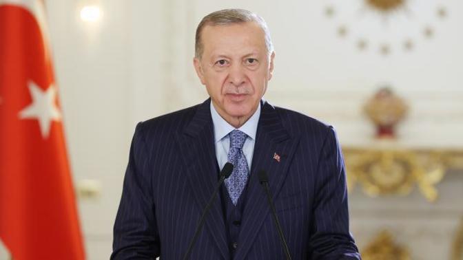 Erdoğan'dan sokak hayvanları açıklaması: "Gerekli talimatları verdim, bütün illerde uygulananacak" ne düşünüyorsunuz?
