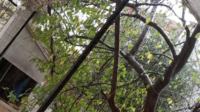 İzmir'de yağmur yağıyor, orada havalar nasıl?