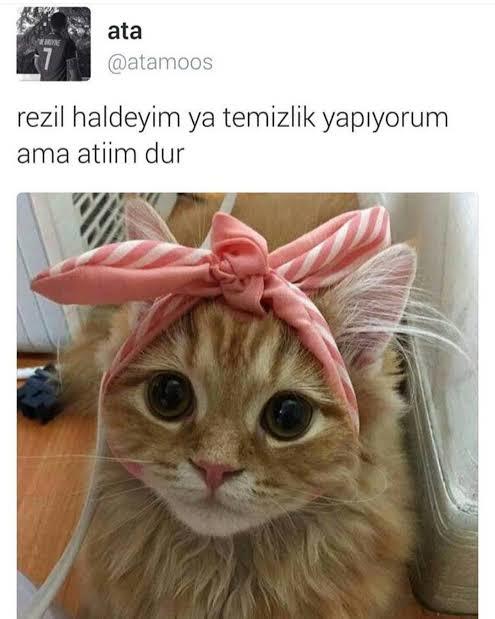 Erkeklerin 'anlık at' isteğinde masumiyet aranabilir mi?