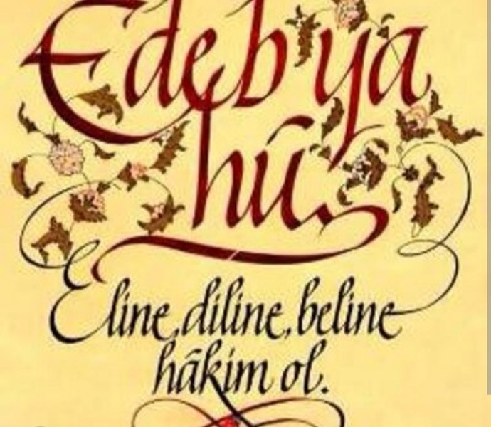 Size edepsizlik edene ne demek/ne yapmak istersiniz?