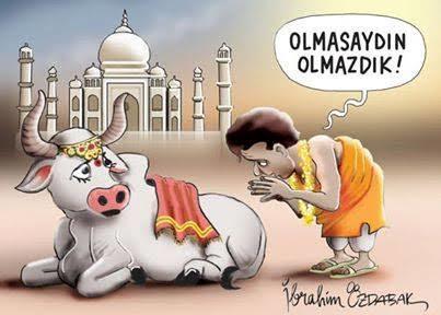 Hala bu hayvana tapmak çok enteresan