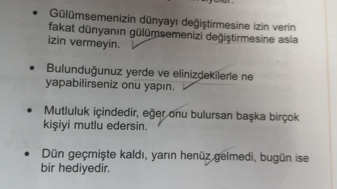 Sizce bu maddeleri yapmak hayatta mutlu ve başarılı olabilmeye yeter mi?