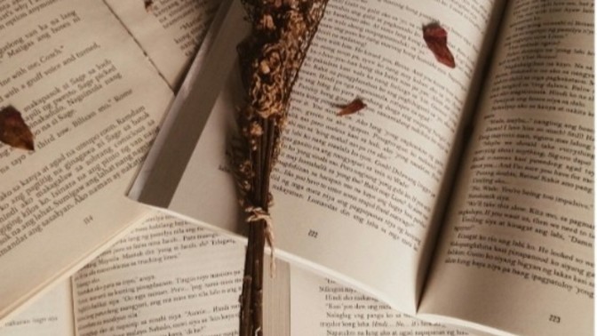 Kitap okurken sizi etkileyen bir söz var mı?