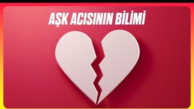 Kırık Kalp Sendromu: Aşk Acısı Sizi Öldürebilir mi?