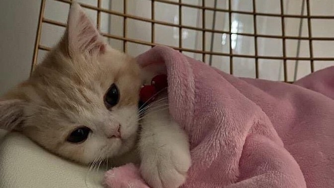Sabahları erken uyanma gibi bir huyunuz var mı?