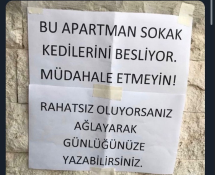 Sokakta bulunan dostlarımızı besler misiniz?