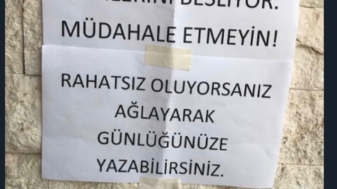 Sokakta bulunan dostlarımızı besler misiniz?