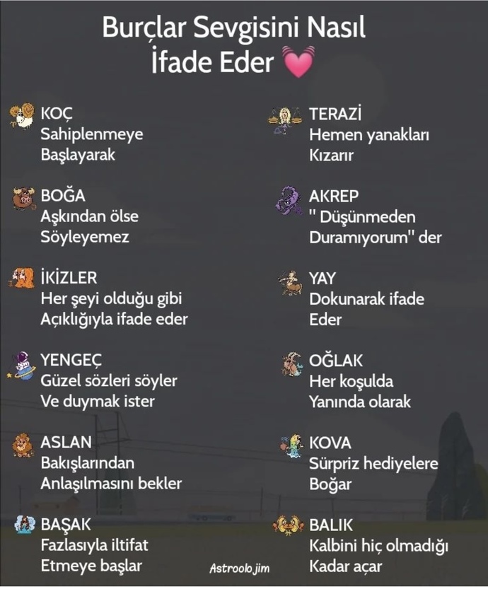 Burcuna göre sevgini nasıl ifade edersin?