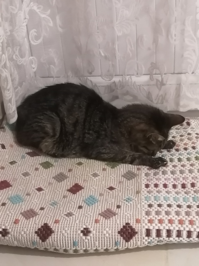 Oğluşum öleli 1 ay oluyor, hiç geçmeyecek mi bu acı?