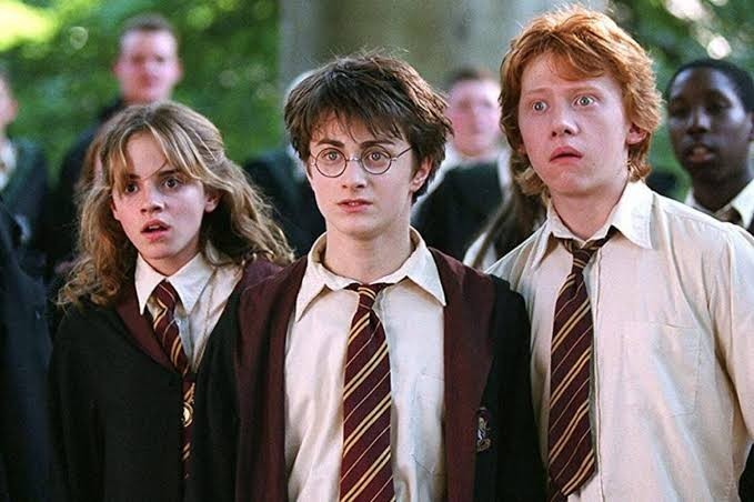 Harry potter sever misiniz?