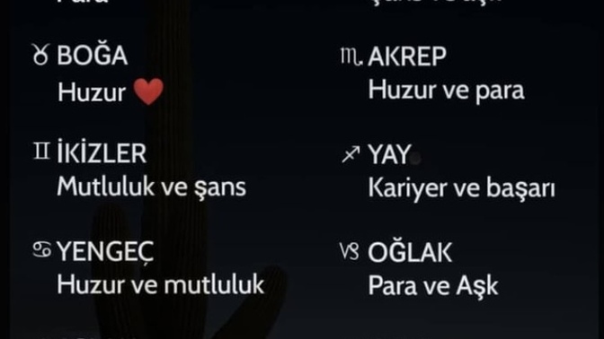 Burçların aralık ayı beklentileri nedir?