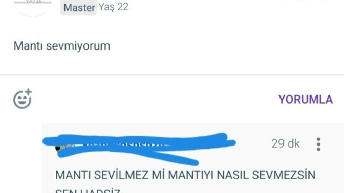 Mantı sevmeyen bir insan, hamsi yemeyen bir karadenizli düşünülebilir mi?