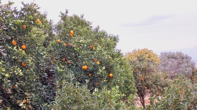 Köyde, kırsalda yaşama hayaliniz var mı?