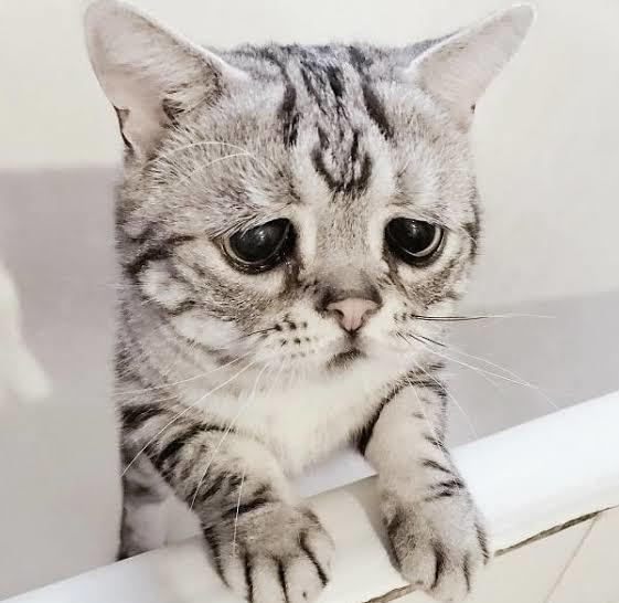 😒