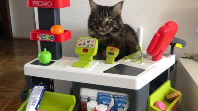 Sabahları çay mı yoksa kahve mi içiyorsun?