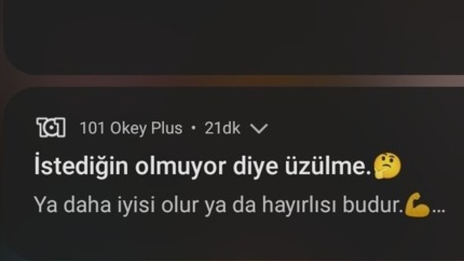 Size akıl veren kim var?
