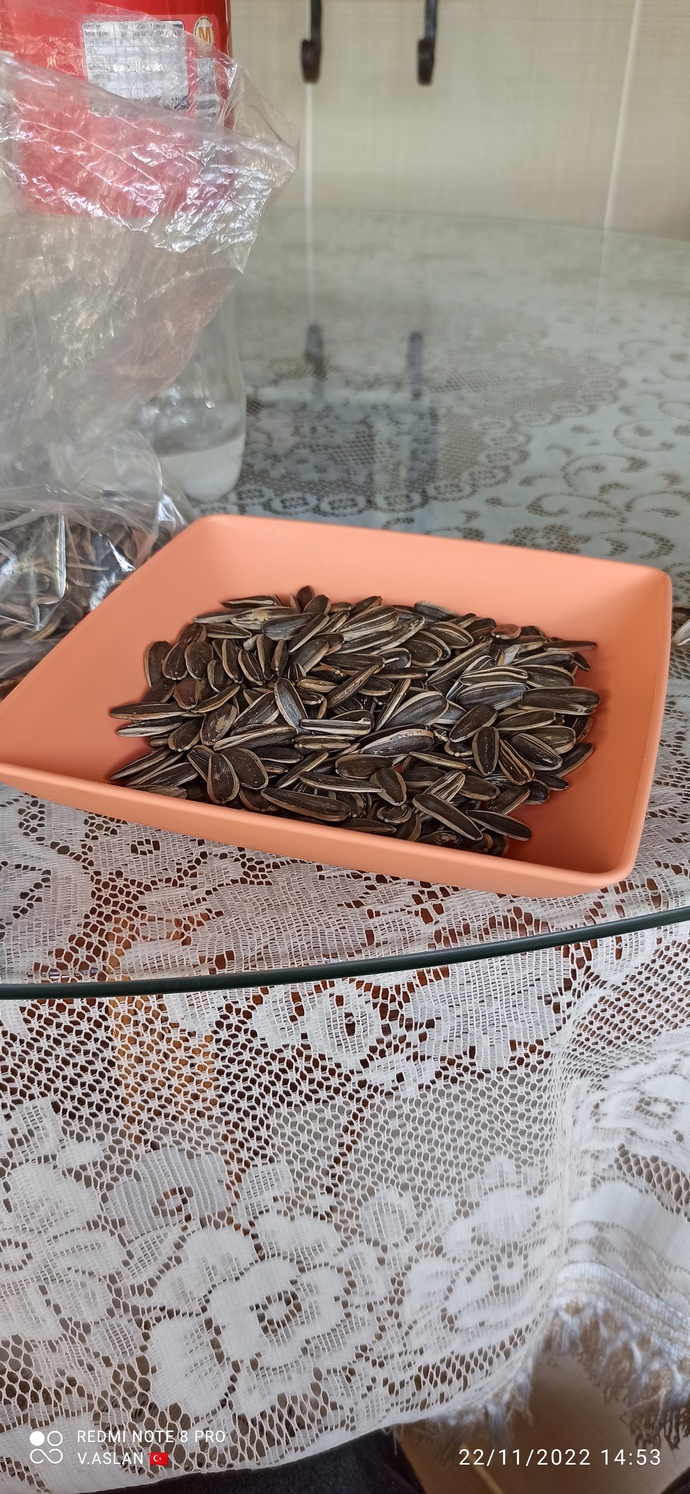 Çekirdeğin hangisini seversiniz?