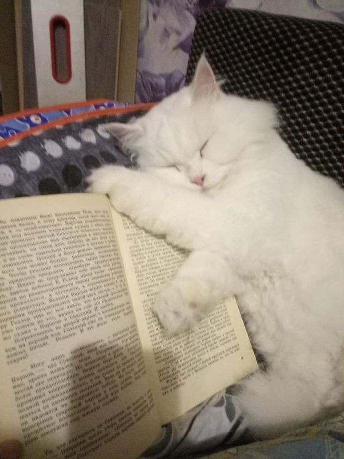 Iki zaafım bir arada 🥰