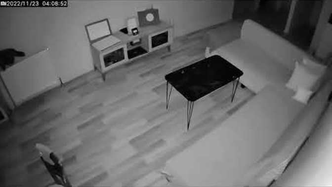 Bolu'da güvenlik kamerası ile görüntülenen depremin şiddetini gördünüz mü?