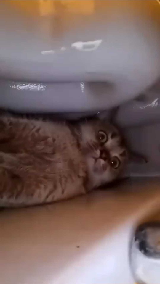 Depremde; çök, kapan, tutun yapabildiniz mi?
