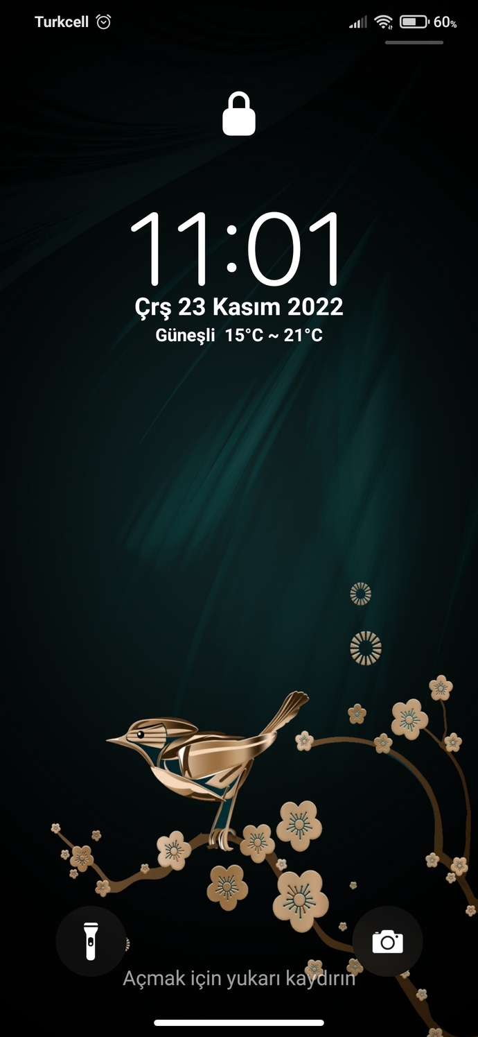 Cep telefonunuzun duvar kağıdında ne fotoğrafı var?