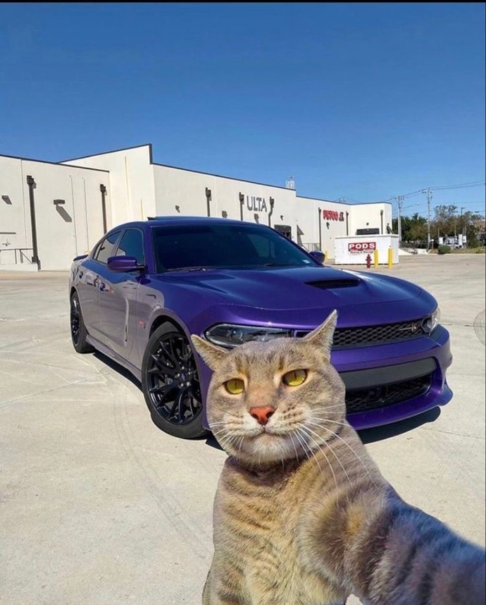 Arabası olanın motordan anlaması şart mıdır?