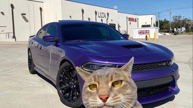 Arabası olanın motordan anlaması şart mıdır?