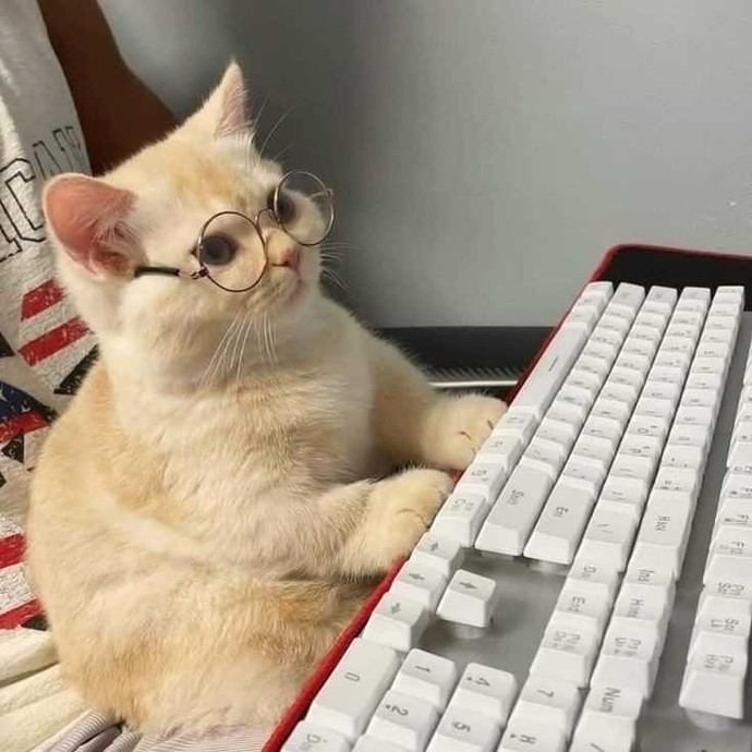 Sevgiliyi stalklamak yanlış bir şey mi?