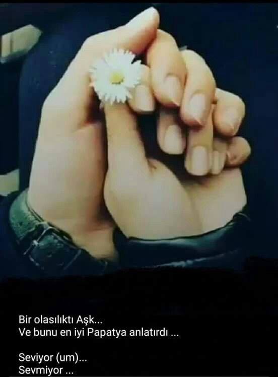 Papatyalar doğru söyler mi?