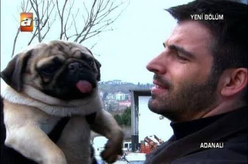 Pug cinsi köpeğe isim önerir misiniz?