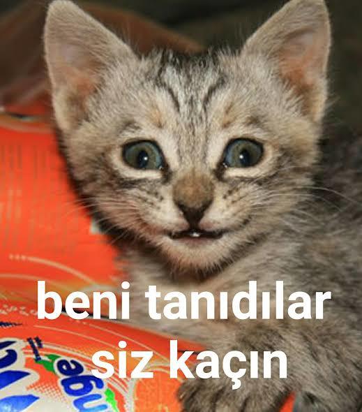 Okula gitmek istemiyorum, zengin kocayı nereden bulabilirim?