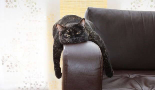 Sıkıcı bir ortamdan kendini kurtarmak için ne yaparsın?