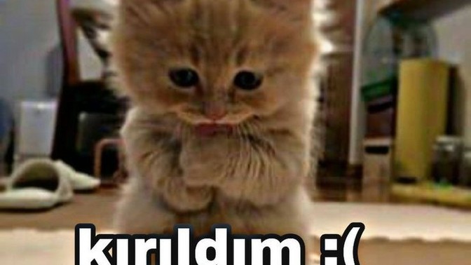 Aranızın bu ara bozuk olduğu biri var mı?