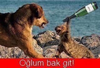 Bir erkek sizden hoşlanıp bunu belli ettiğinde hemen pençelerinizi gösterip her türlü onur kırıcı reaksiyonlara başvuruyor musunuz?