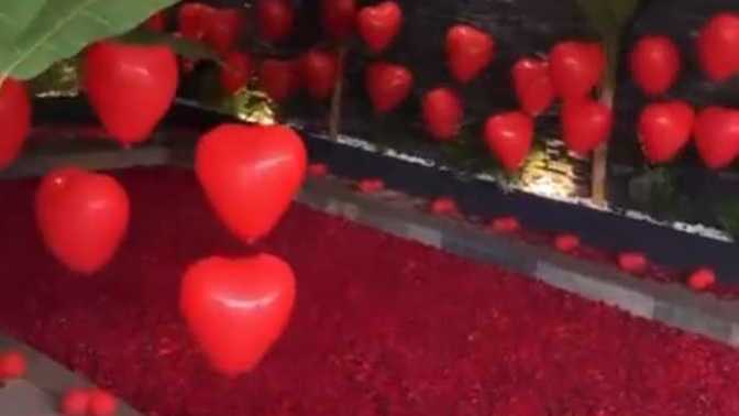 Binlerce gül ile sürpriz! Eşiniz size böyle bir sürpriz hazırlasaydı tepkiniz ne olurdu?