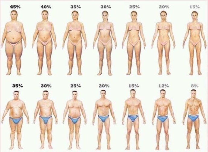 Sizin vücudunuzdaki yağ oranı nedir?