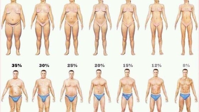 Sizin vücudunuzdaki yağ oranı nedir?