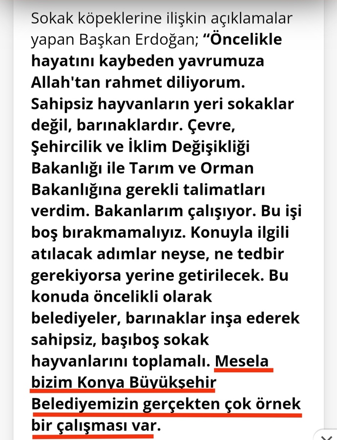 Konya Büyükşehir Belediyesi'ne ait bi barınakta hayvanlara işkence yapıldı, ne zaman son bulacak bu cehalet?