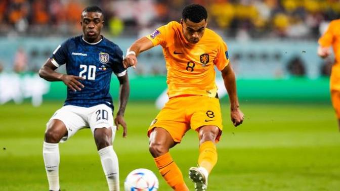 2022 Dünya Kupası A grubunda Hollanda ile Ekvador 1-1 berabere kaldı! Maçı nasıl buldunuz?