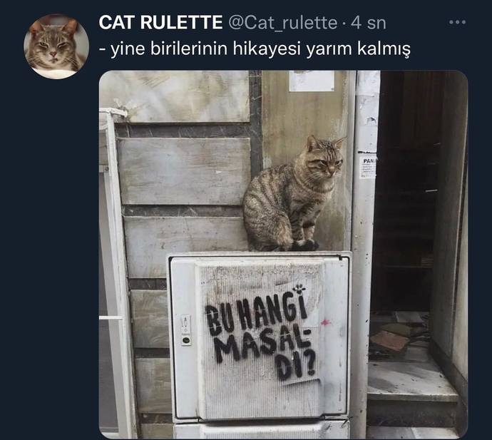 Yarım kalan bir hikayeniz var mı?
