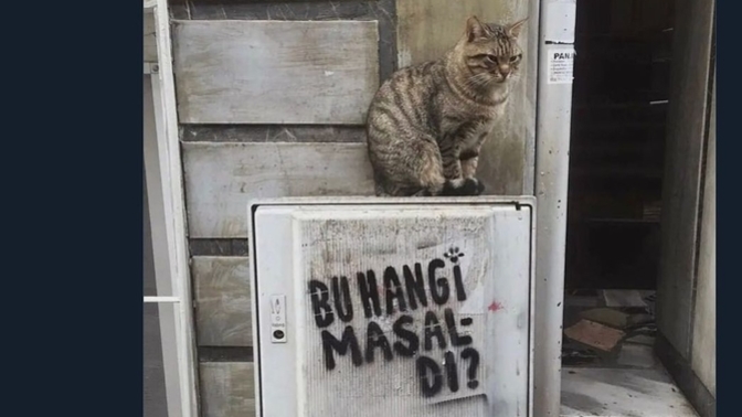 Yarım kalan bir hikayeniz var mı?
