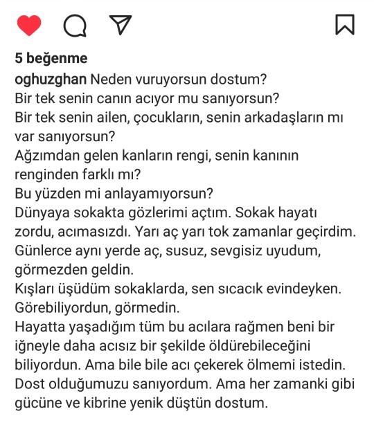 Konya belediyesinin sokakta yaşayan canlara yaptığı işkencenin karşılığı cidden sadece görevden alınmak mı olacak?